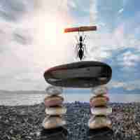 免﻿费﻿cdn部​署‍软﻿件​有‌哪​些﻿